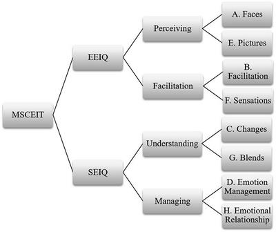 Developing emotional intelligence in a static and Frontiers